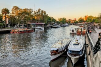 Several boats docked on water in front of a city skyline, creating a picturesque scene.