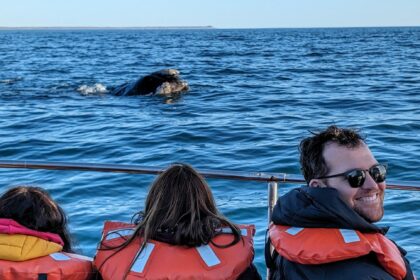 Three people on a boat looking at a whale surfacing