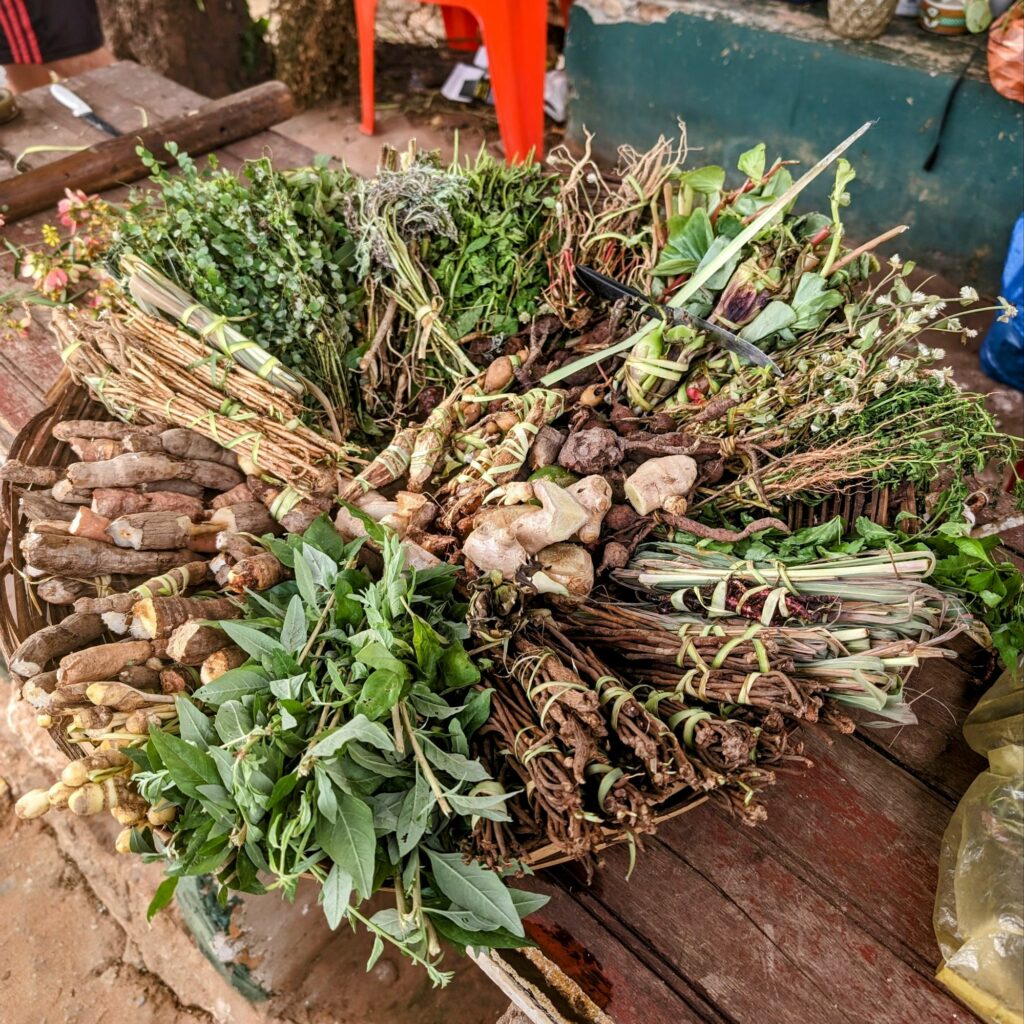 A bowl of medicinal herbs used for the terere drink