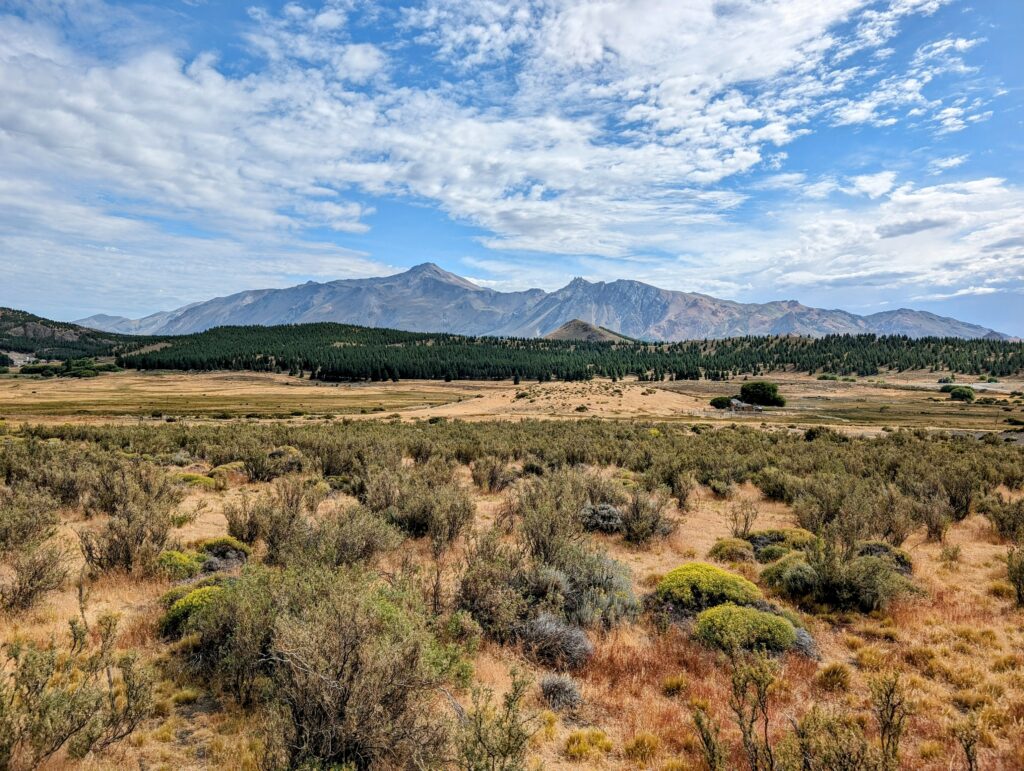 An arid landscape with mountains in the background