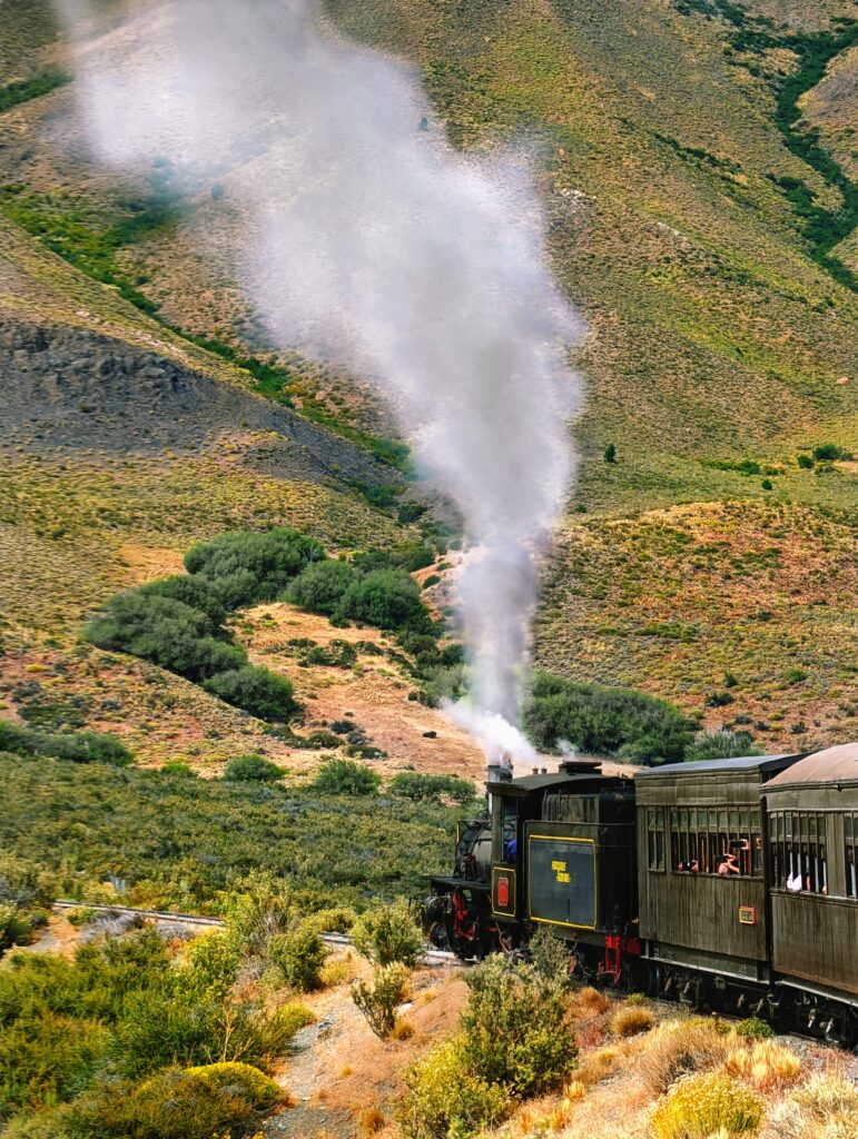 A train with steam coming from it's engine going into a green landscape