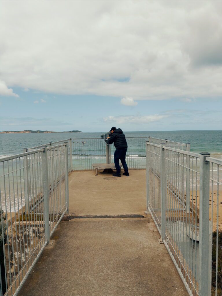 A lookout over the ocean on the Great Ocean Road